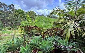 San José de las bromelias